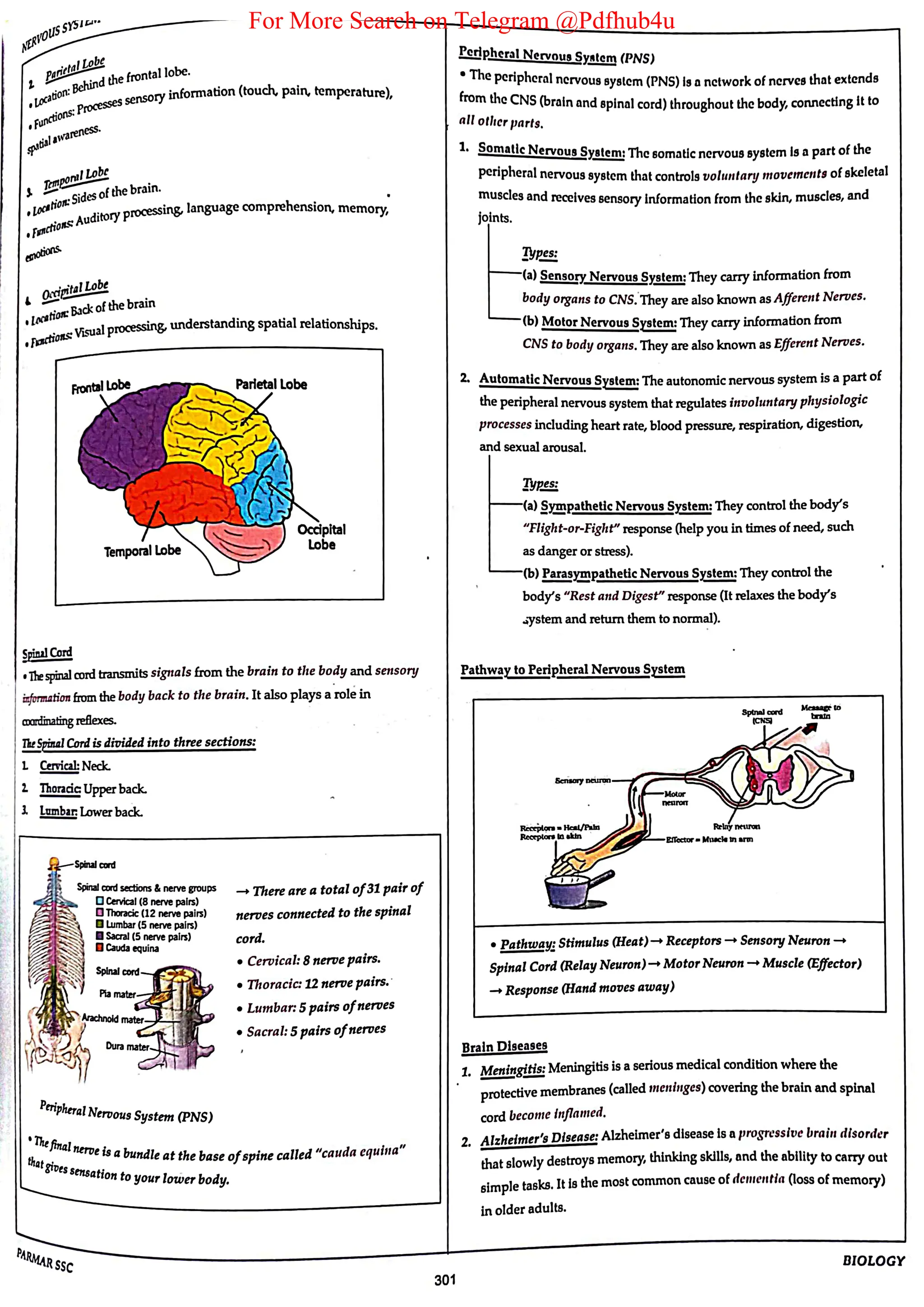 For More Search on Telegram @Pdfhub4u
 