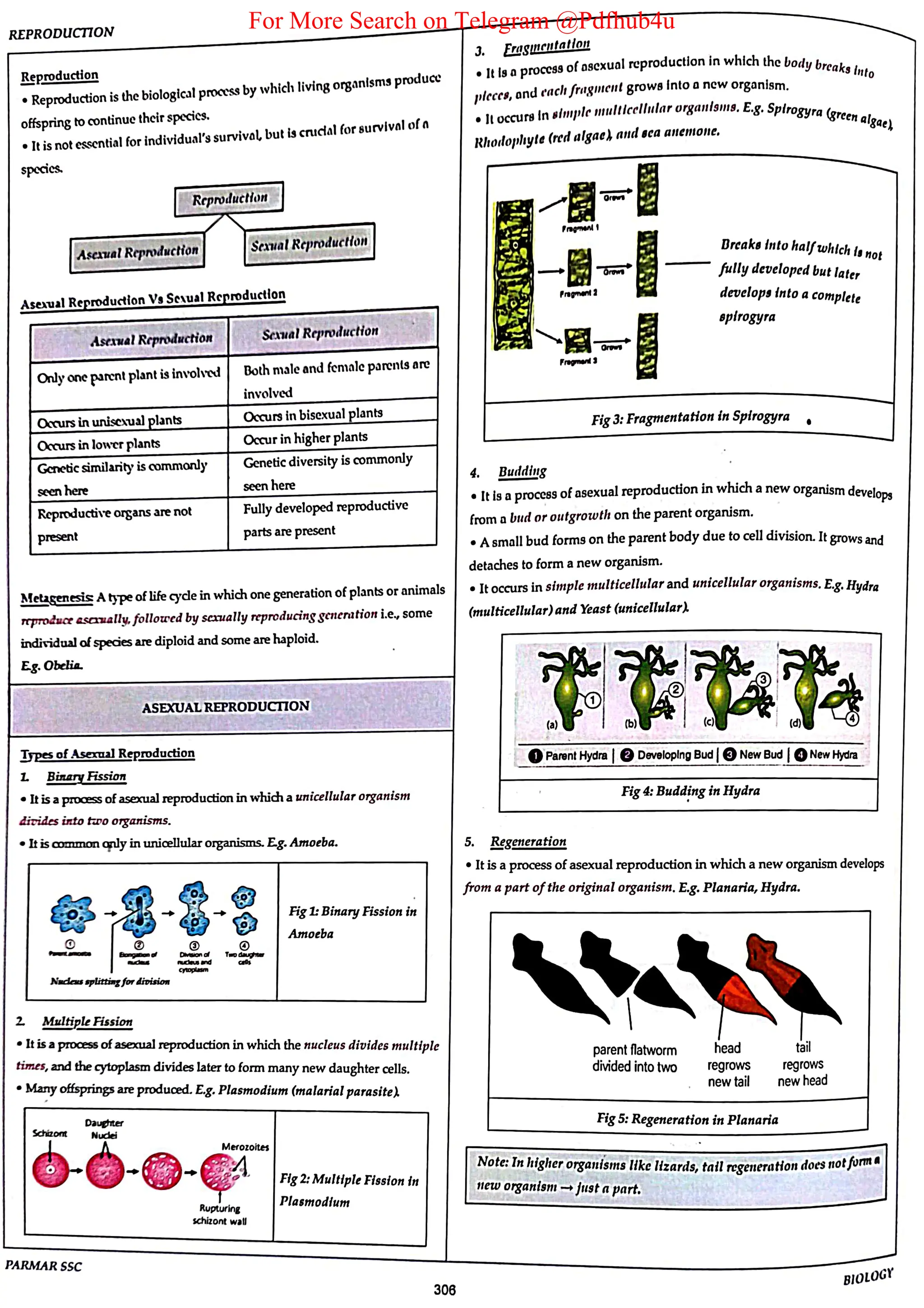 For More Search on Telegram @Pdfhub4u
 