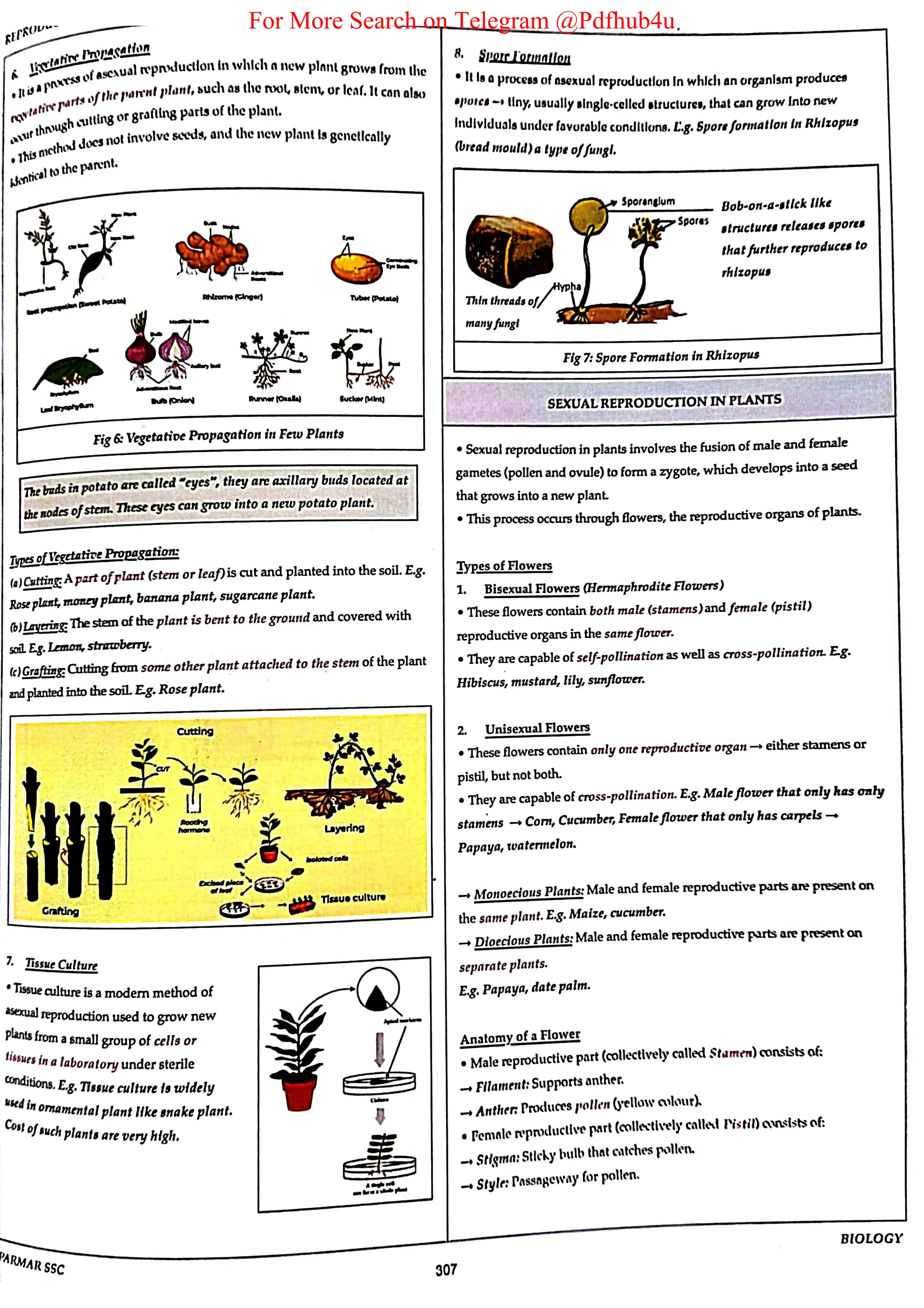 For More Search on Telegram @Pdfhub4u
 