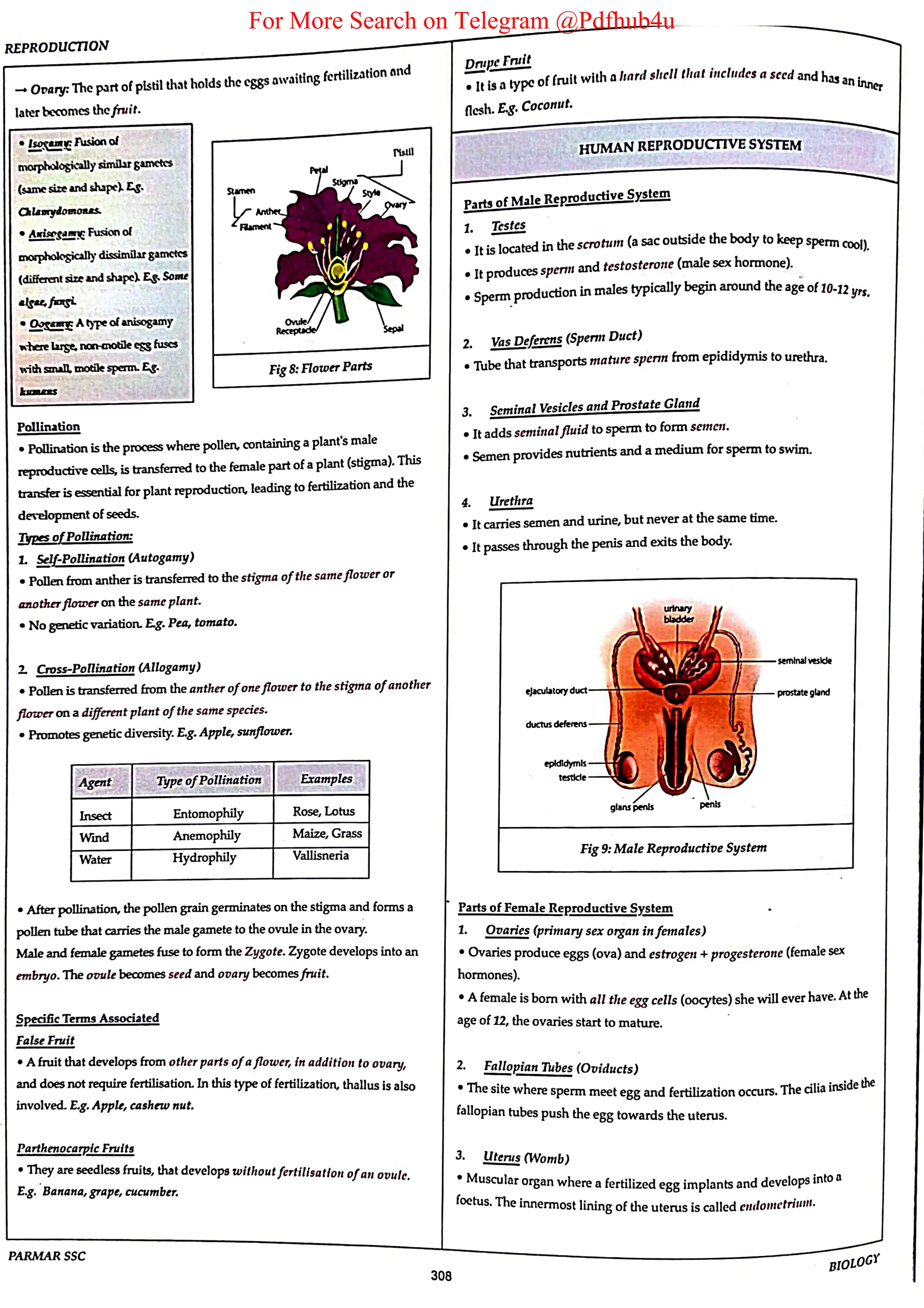 For More Search on Telegram @Pdfhub4u
 