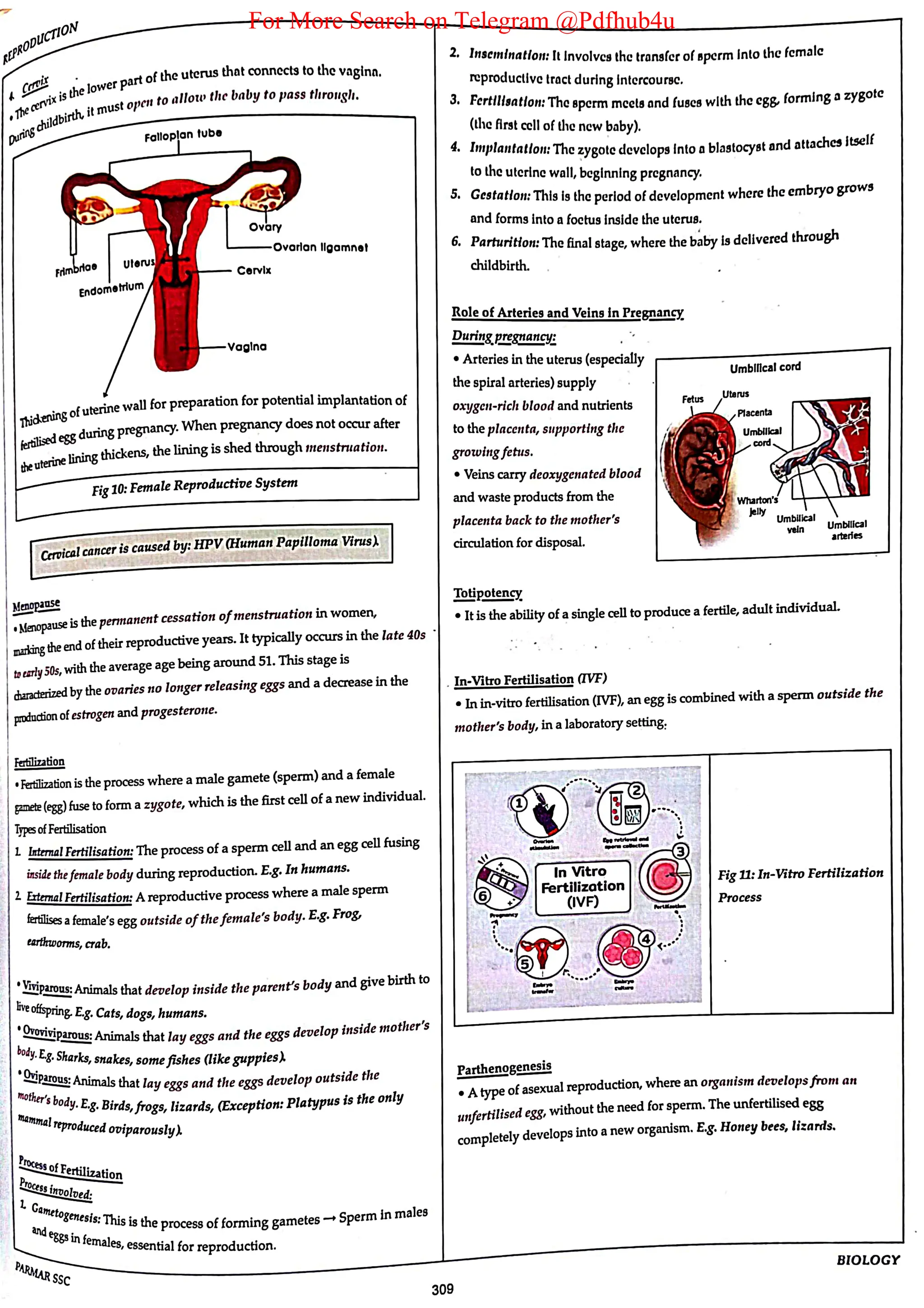 For More Search on Telegram @Pdfhub4u
 