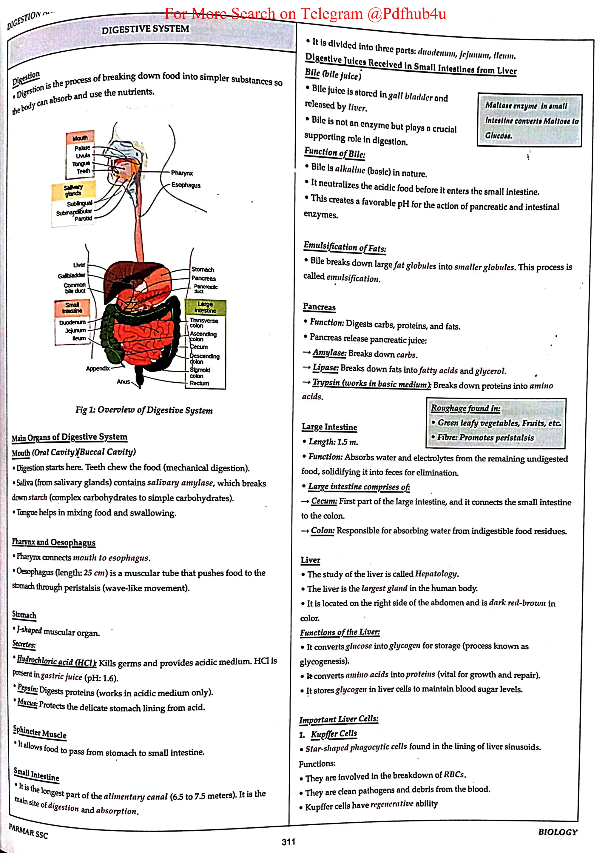 For More Search on Telegram @Pdfhub4u
 