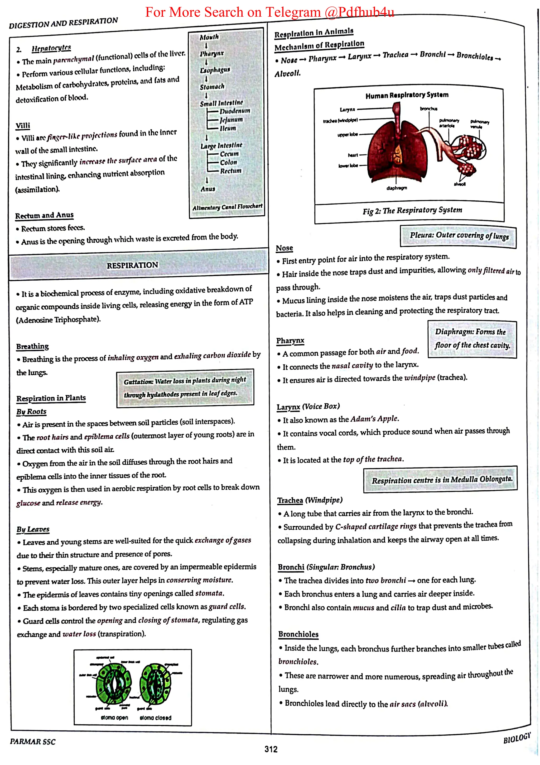 For More Search on Telegram @Pdfhub4u
 