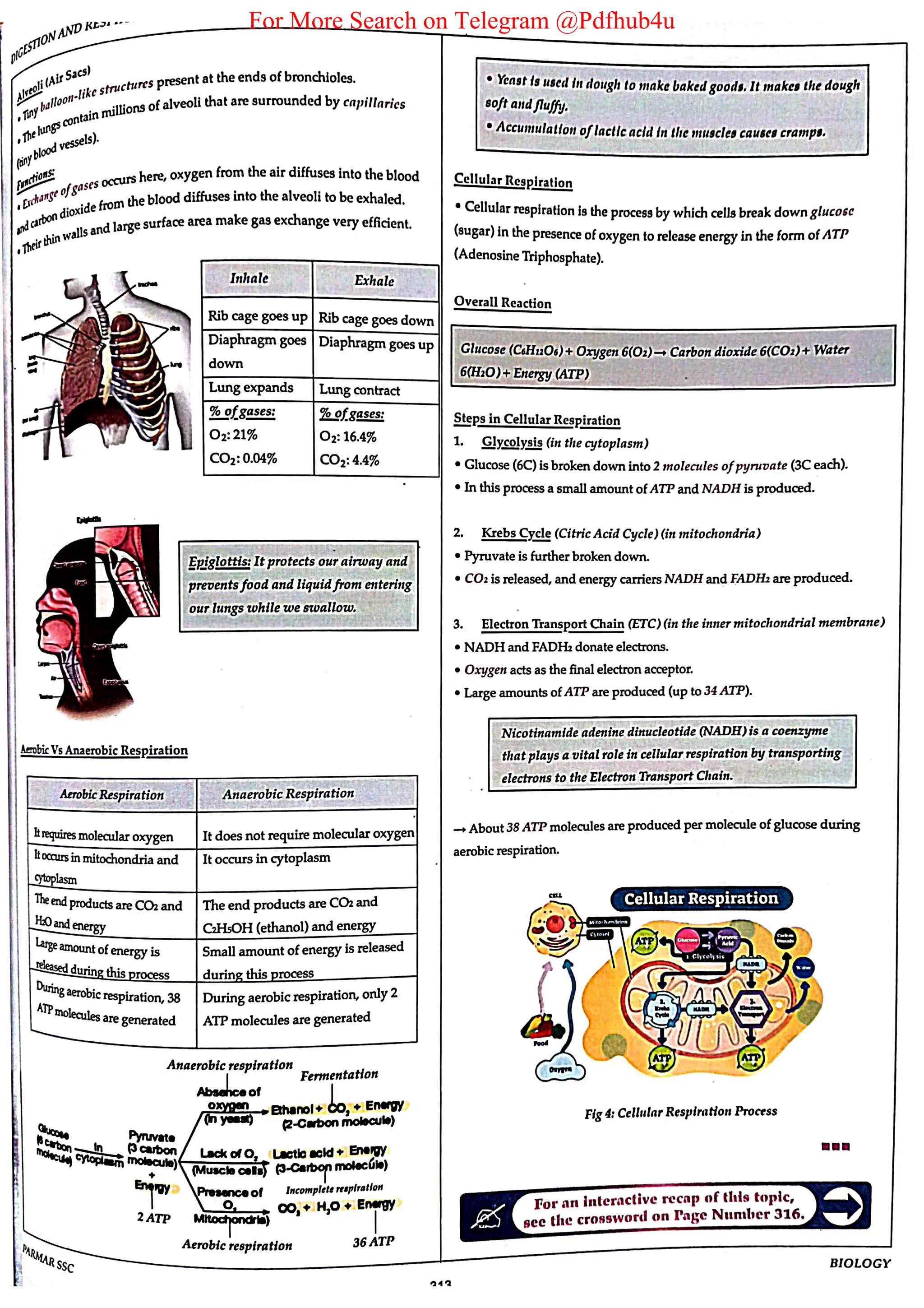 For More Search on Telegram @Pdfhub4u
 