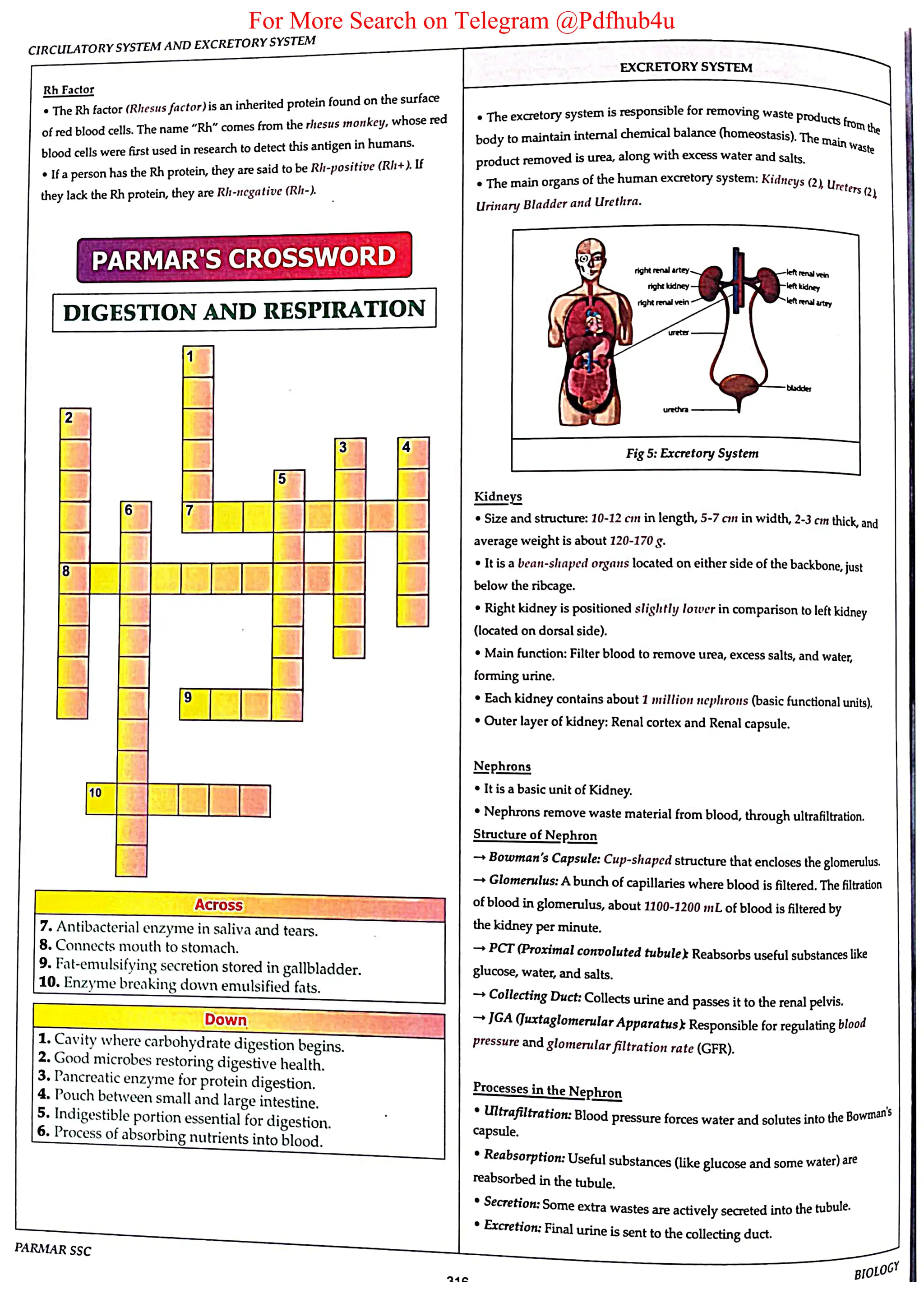 For More Search on Telegram @Pdfhub4u
 