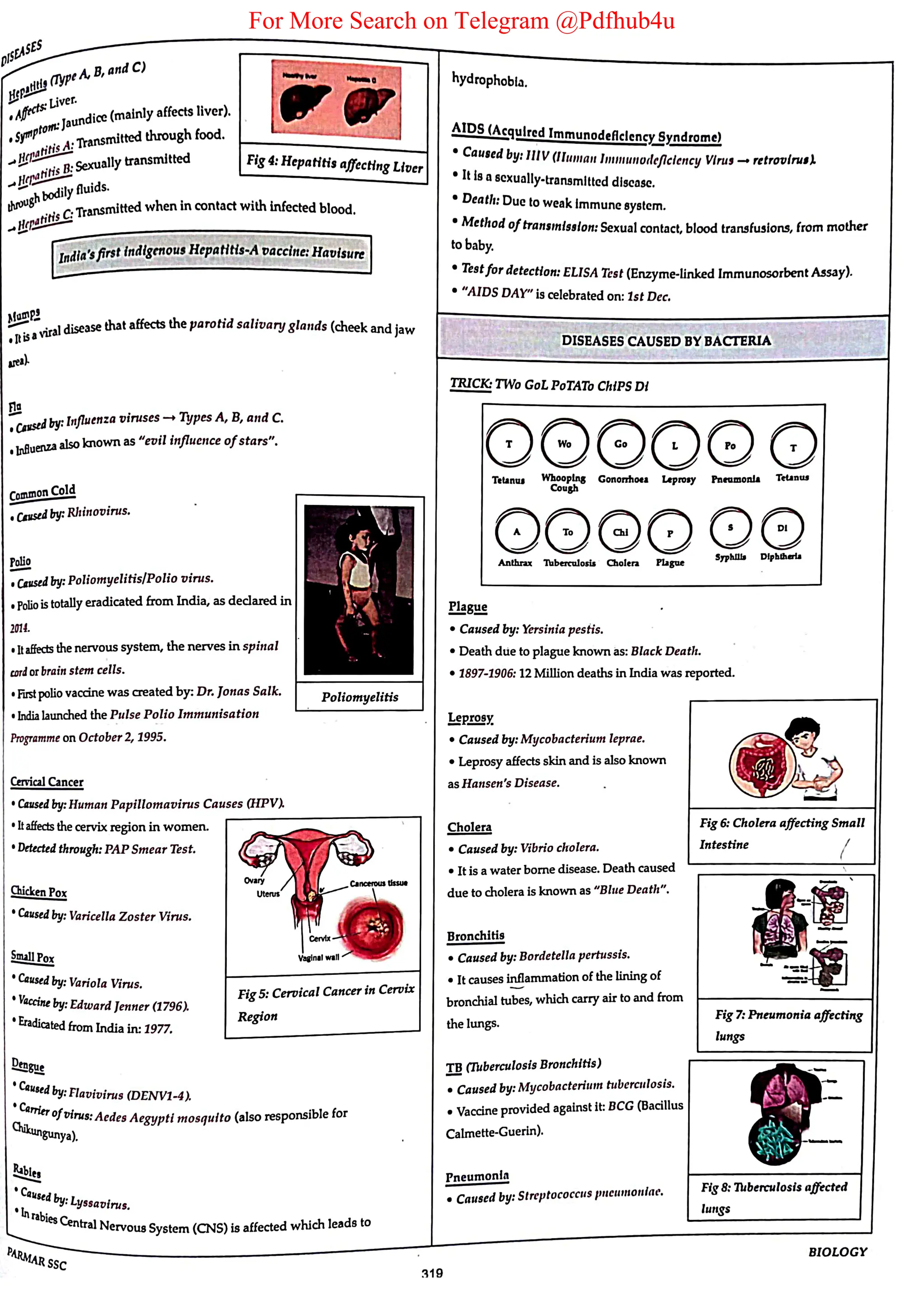 For More Search on Telegram @Pdfhub4u
 