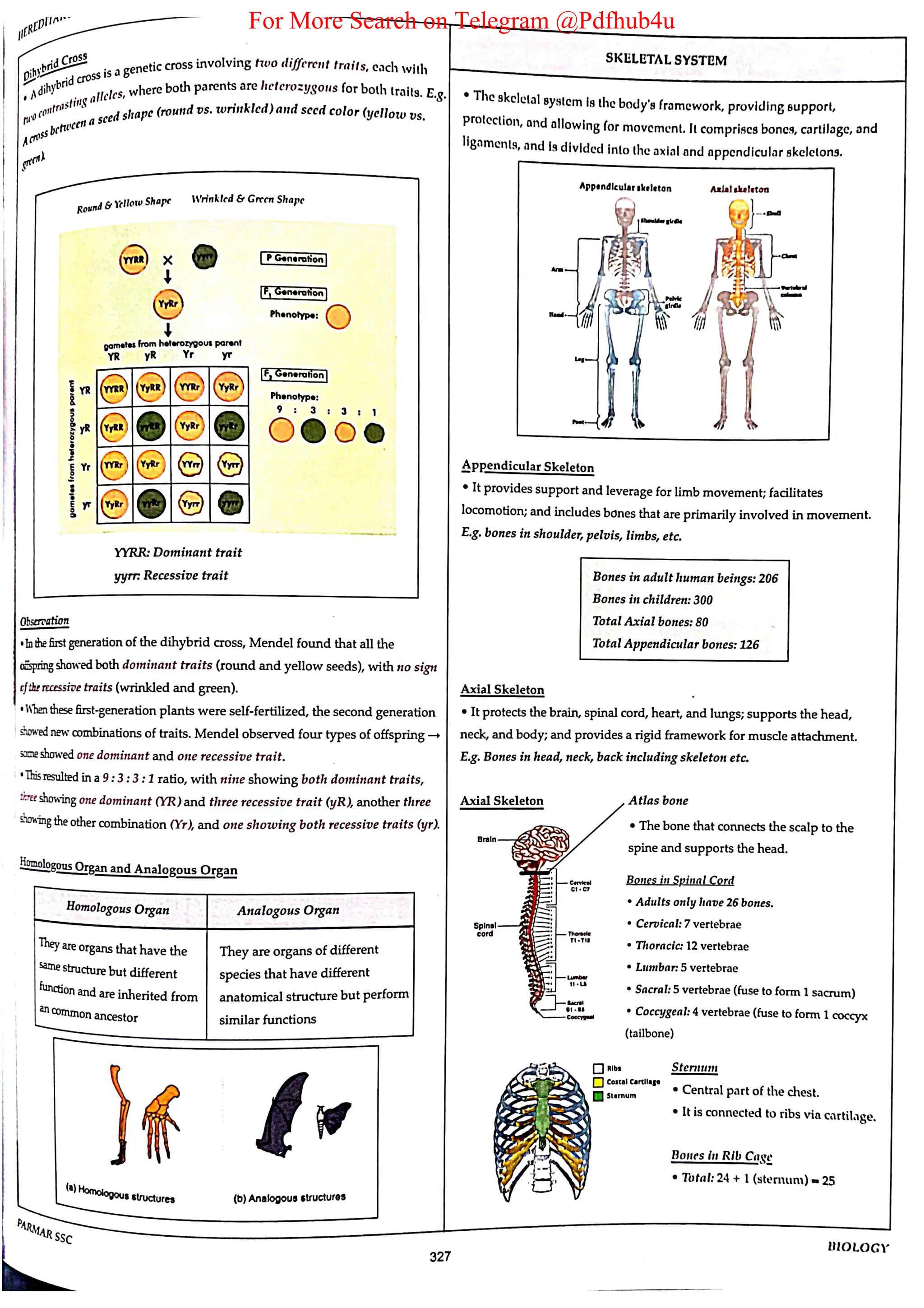 For More Search on Telegram @Pdfhub4u
 