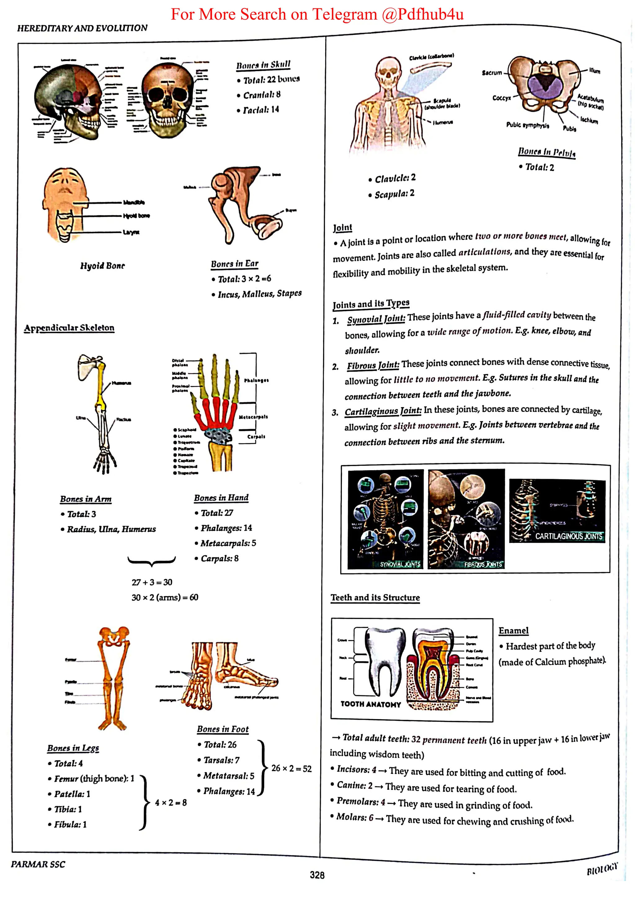 For More Search on Telegram @Pdfhub4u
 