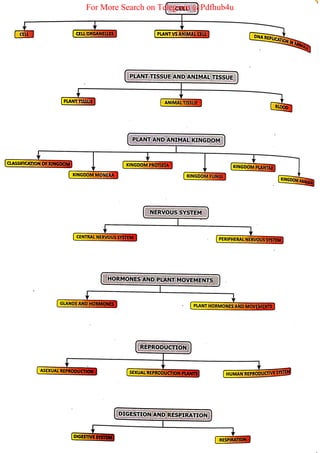 For More Search on Telegram @Pdfhub4u
 