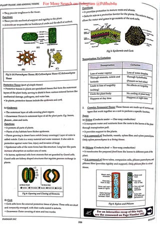 For More Search on Telegram @Pdfhub4u
 