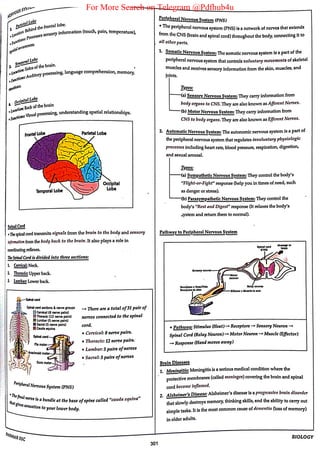 For More Search on Telegram @Pdfhub4u
 