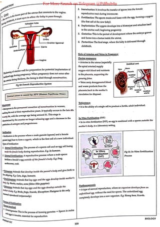 For More Search on Telegram @Pdfhub4u
 
