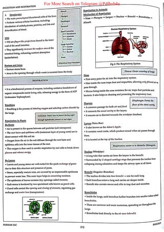 For More Search on Telegram @Pdfhub4u
 