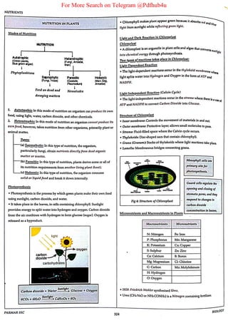 For More Search on Telegram @Pdfhub4u
 