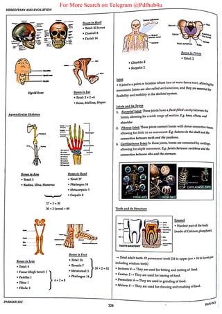 For More Search on Telegram @Pdfhub4u
 