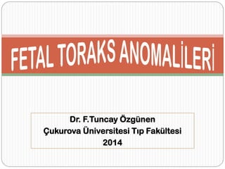 Dr. F.Tuncay Özgünen
Çukurova Üniversitesi Tıp Fakültesi
2014
 