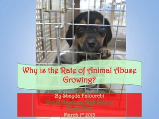 Why is the Rate of Animal Abuse
           Growing?
         By Shayda Fatoorchi
      Orcutt Academy High School
               Frosh Core
              March 1st 2013
 