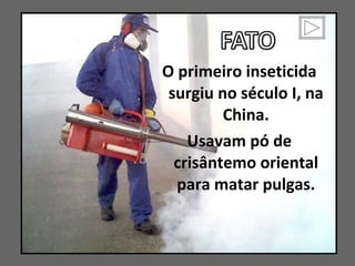 O primeiro inseticida surgiu no século I, na China. Usavam pó de crisântemo oriental para matar pulgas. 