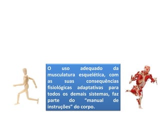 O uso adequado da
musculatura esquelética, com
as suas consequências
fisiológicas adaptativas para
todos os demais sistemas, faz
parte do “manual de
instruções” do corpo.
 