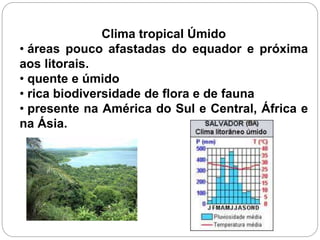 Clima tropical Úmido
• áreas pouco afastadas do equador e próxima
aos litorais.
• quente e úmido
• rica biodiversidade de flora e de fauna
• presente na América do Sul e Central, África e
na Ásia.
 