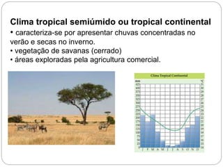 Clima tropical semiúmido ou tropical continental
• caracteriza-se por apresentar chuvas concentradas no
verão e secas no inverno.
• vegetação de savanas (cerrado)
• áreas exploradas pela agricultura comercial.
 