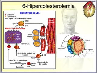 6-Hipercolesterolemia HMG-Coa-Sintetase 