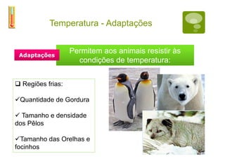 Temperatura - Adaptaçõesa
to
ais favoráveis à vida estão na
xa de 10 a 30°C
 