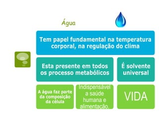 Água
 