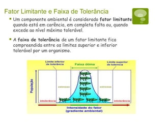 Fator Limitante e Faixa de Tolerância
 Um componente ambiental é considerado fator limitante
quando está em carência, em completa falta ou, quando
excede ao nível máximo tolerável.
 A faixa de tolerância de um fator limitante fica
compreendida entre os limites superior e inferior
tolerável por um organismo.
 
