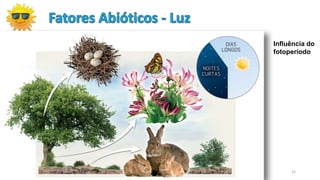 15
Influência do
fotoperíodo
 