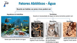 Quanto ao habitat, os seres vivos podem ser
Aquáticos ou hidrófilos Terrestres
Quanto à necessidade de água os seres terrestres podem ser:
Higrófilos Mesófilos Xerófilos
Seres que vivem dentro de água
Seres que vivem em
lugares muito húmidos
Seres que necessitam
de quantidades
moderadas de água
Seres que vivem em
lugares muito secos
 