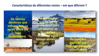 Características de diferentes meios – em que diferem ?
Os fatores
abióticos que
influenciam os
seres vivos em
cada
ecossistema .
As relações
bióticas que
ocorrem em cada
ecossistema.
As estratégias
que os seres
vivos usam para
ultrapassar as
limitações
impostas pelos
fatores abióticos.
 