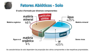 O solo é formado por diversos componentes:
Matéria orgânica
Água e ar
Matéria mineral
Seres vivos
As características do solo dependem da proporção dos vários componentes e das respetivas propriedades.
 