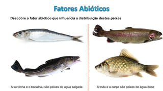 Descobre o fator abiótico que influencia a distribuição destes peixes
A sardinha e o bacalhau são peixes de água salgada A truta e a carpa são peixes de água doce
 