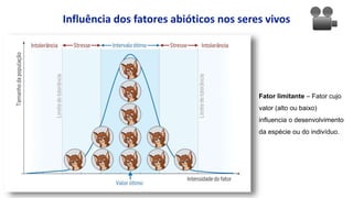 Influência dos fatores abióticos nos seres vivos
Fator limitante – Fator cujo
valor (alto ou baixo)
influencia o desenvolvimento
da espécie ou do indivíduo.
 