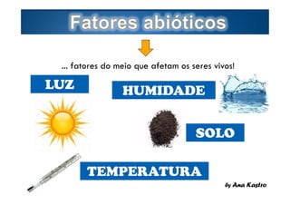 ... fatores do meio que afetam os seres vivos!

LUZ

HUMIDADE
SOLO
TEMPERATURA

Page  2

by Ana Kastro

 