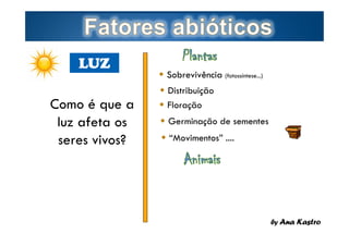 LUZ
Como é que a
luz afeta os
seres vivos?

Page  3

 Sobrevivência (fotossíntese...)
 Distribuição
 Floração
 Germinação de sementes
 “Movimentos” ....

by Ana Kastro

 