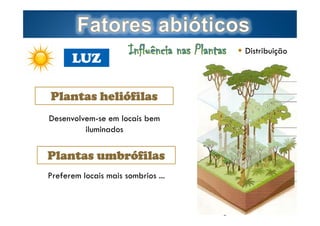 LUZ

 Distribuição

Plantas heliófilas
Desenvolvem-se em locais bem
iluminados

Plantas umbrófilas
Preferem locais mais sombrios ...
Page  5

by Ana Kastro

 