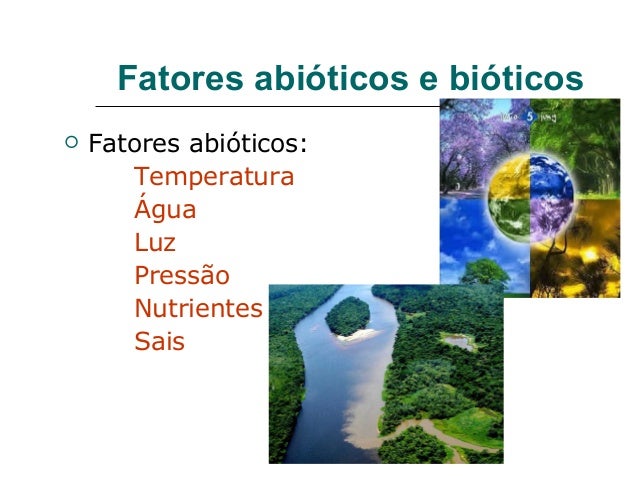 Exemplo De Fatores Abioticos