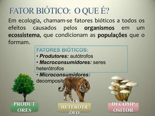 Em ecologia, chamam-se fatores bióticos a todos os
efeitos causados pelos organismos em um
ecossistema, que condicionam as populações que o
formam.
• Produtores: autótrofos
• Macroconsumidores: seres
heterótrofos
• Microconsumidores:
decompositores
PRODUT
ORES
SER
HETEROTR
ÓFO
DECOMP
OSITOR
 