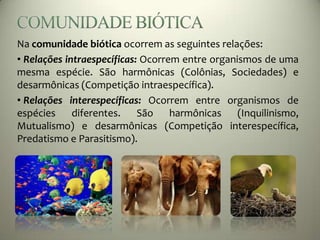 Na comunidade biótica ocorrem as seguintes relações:
• Relações intraespecíficas: Ocorrem entre organismos de uma
mesma espécie. São harmônicas (Colônias, Sociedades) e
desarmônicas (Competição intraespecífica).
• Relações interespecíficas: Ocorrem entre organismos de
espécies diferentes. São harmônicas (Inquilinismo,
Mutualismo) e desarmônicas (Competição interespecífica,
Predatismo e Parasitismo).
 