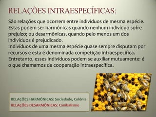 São relações que ocorrem entre indivíduos de mesma espécie.
Estas podem ser harmônicas quando nenhum indivíduo sofre
prejuízo; ou desarmônicas, quando pelo menos um dos
indivíduos é prejudicado.
Indivíduos de uma mesma espécie quase sempre disputam por
recursos e esta é denominada competição intraespecífica.
Entretanto, esses indivíduos podem se auxiliar mutuamente: é
o que chamamos de cooperação intraespecífica.
RELAÇÕES HARMÔNICAS: Sociedade, Colônia
RELAÇÕES DESARMÔNICAS: Canibalismo
 
