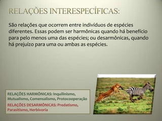 São relações que ocorrem entre indivíduos de espécies
diferentes. Essas podem ser harmônicas quando há benefício
para pelo menos uma das espécies; ou desarmônicas, quando
há prejuízo para uma ou ambas as espécies.
RELAÇÕES HARMÔNICAS: Inquilinismo,
Mutualismo, Comensalismo, Protocooperação
RELAÇÕES DESARMÔNICAS: Predatismo,
Parasitismo, Herbivoria
 