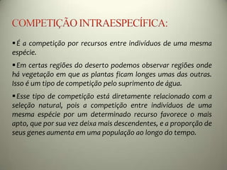 É a competição por recursos entre indivíduos de uma mesma
espécie.
Em certas regiões do deserto podemos observar regiões onde
há vegetação em que as plantas ficam longes umas das outras.
Isso é um tipo de competição pelo suprimento de água.
Esse tipo de competição está diretamente relacionado com a
seleção natural, pois a competição entre indivíduos de uma
mesma espécie por um determinado recurso favorece o mais
apto, que por sua vez deixa mais descendentes, e a proporção de
seus genes aumenta em uma população ao longo do tempo.
 