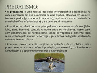 • O predatismo é uma relação ecológica interespecífica desarmônica na
cadeia alimentar em que os animais de uma espécie, alocados em um nível
trófico superior (predadores / caçadores), capturam e matam animais de
um nível trófico inferior (presa), para deles se alimentarem.
• Esse tipo de relação ocorre principalmente em seres carnívoros (leão,
lobo, tigre, homem), contudo também entre os herbívoros. Neste caso,
com denominação de herbivorismo, sendo os vegetais o alimento, bem
representado pelo ataque de formigas, gafanhotos ou lagartas destruindo
velozmente uma cultura.
 Contudo, evolutivamente surgiram adaptações desenvolvidas pelas
presas, selecionadas em defesa à predação, por exemplo, o mimetismo, a
camuflagem e o aposematismo (cores de advertência).
 