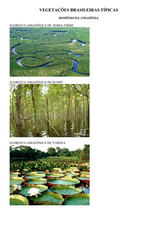 VEGETAÇÕES BRASILEIRAS TÍPICAS
                         DOMÍNIO DA AMAZÔNIA

FLORESTA AMAZÔNICA DE TERRA FIRME




FLORESTA AMAZÔNICA DE IGAPÓ




FLORESTA AMAZÔNICA DE VÁRZEA
 