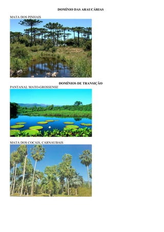 DOMÍNIO DAS ARAUCÁRIAS

MATA DOS PINHAIS




                          DOMÍNIOS DE TRANSIÇÃO
PANTANAL MATO-GROSSENSE




MATA DOS COCAIS, CARNAUBAIS
 