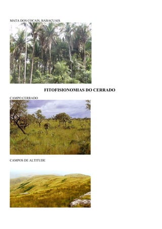 MATA DOS COCAIS, BABAÇUAIS




                 FITOFISIONOMIAS DO CERRADO
CAMPO CERRADO




CAMPOS DE ALTITUDE
 