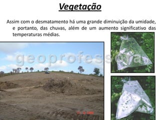 Vegetação
Assim com o desmatamento há uma grande diminuição da umidade,
  e portanto, das chuvas, além de um aumento significativo das
  temperaturas médias.
 