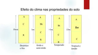 Tropical e
úmido
A
C
Temperado
A
C
R
Bt
Árido e
semi-árido
A
C
R
Bk
Desértico
e frio
A
C
R
10cm 1m >1m 15m
Efeito do clima nas propriedades do solo
Bw
 